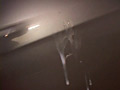 画像0994
