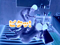 画像1068