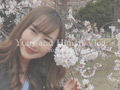 ［vlog］倉科さんはじめてのお花見デート［2022.03.29］ 画像1