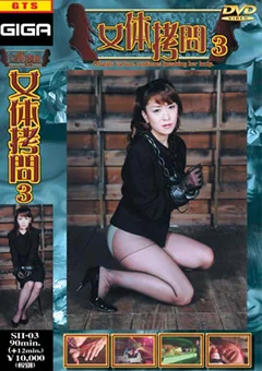 女体拷問3